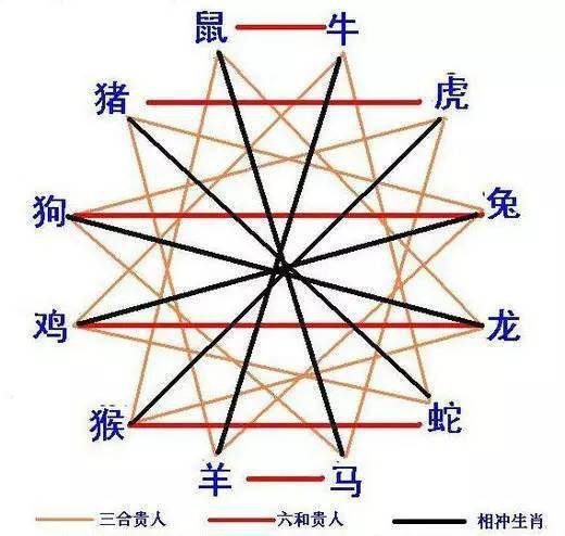 十八出门廿三返,九珠连环挂中天是什么生肖详细解答、解释与落实、构建解答解释落实